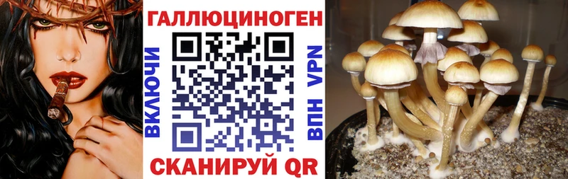 Псилоцибиновые грибы ЛСД  kraken зеркало  Камышлов 