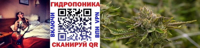 Канабис Amnesia  Камышлов 